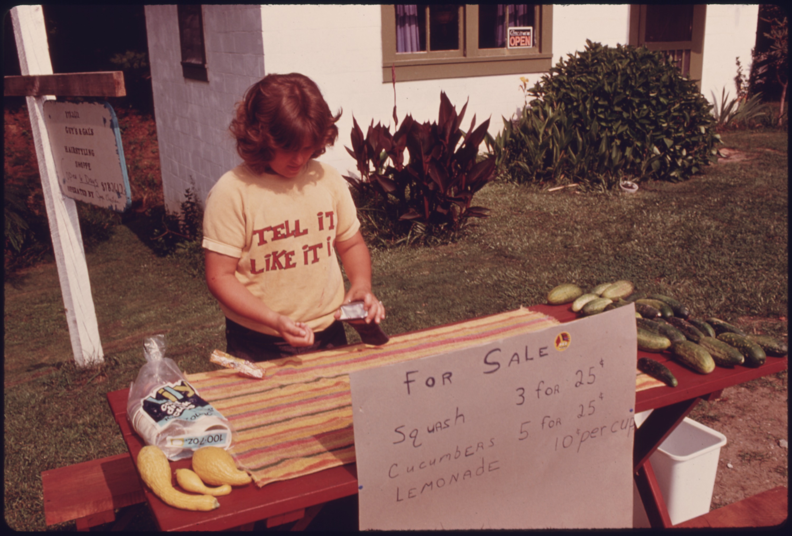 YOUNGSTER_MANS_A_ROADSIDE_STAND_SELLING_SQUASH,_CUCUMBERS_AND_LEMONADE_ON_SIMS_ROAD_AND_GEORGIA_HIGHWAY_356_AT..._-_NARA_-_557757