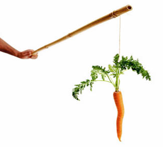 carrot stick